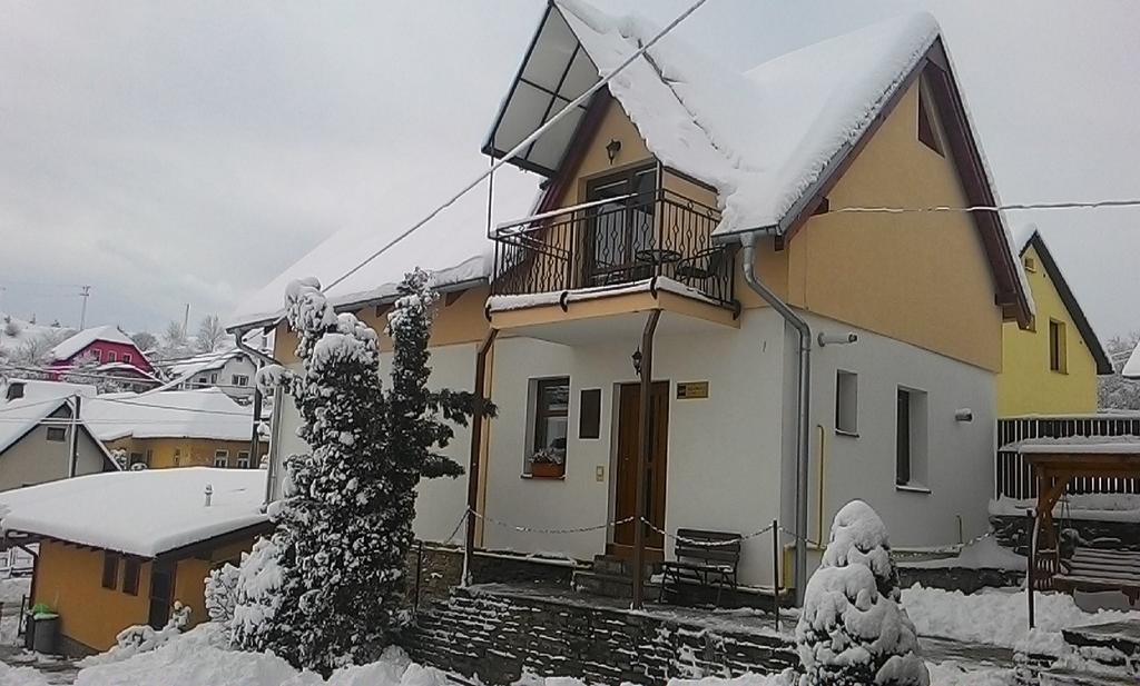Vila Dravce Holiday home *
