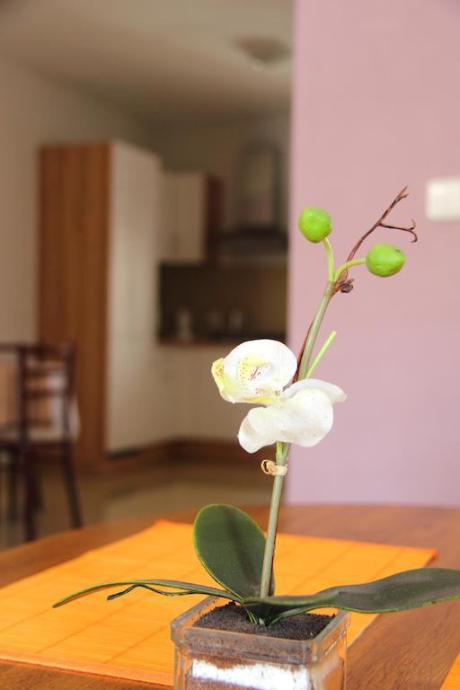 Vila Dravce