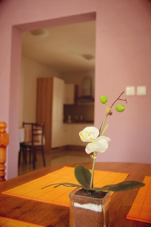 Vila Dravce Dravce